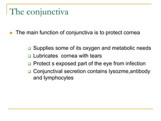 The conjunctiva
 The main function of conjunctiva is to protect cornea
 Supplies some of its oxygen and metabolic needs
 Lubricates cornea with tears
 Protect s exposed part of the eye from infection
 Conjunctival secretion contains lysozme,antibody
and lymphocytes
 