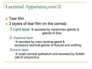Lacrimal Apparatus,cont’d
 Tear film
 3 layers of tear film on the cornea:
1.Lipid layer  secreted by meibomian glands &
glands of Zeis
2. Aqueous layer
 secreted by main lacrimal gland &
accessory lacrimal glands of Krause and wolfring
3.mucin layer
 coats corneal epithelium and secreted by Goblet
cell of conjunctiva
 