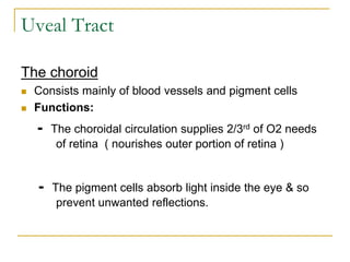 Uveal Tract
The choroid
 Consists mainly of blood vessels and pigment cells
 Functions:
- The choroidal circulation supplies 2/3rd of O2 needs
of retina ( nourishes outer portion of retina )
- The pigment cells absorb light inside the eye & so
prevent unwanted reflections.
 