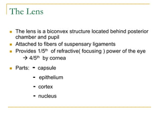The Lens
 The lens is a biconvex structure located behind posterior
chamber and pupil
 Attached to fibers of suspensary ligaments
 Provides 1/5th of refractive( focusing ) power of the eye
 4/5th by cornea
 Parts: - capsule
- epithelium
- cortex
- nucleus
 