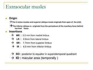 Extraocular musles
 Origin
The 4 rectus musles and superior oblique musle originate from apex of the orbit.
The inferior oblique m. originate from the periosteum of the maxillary bone behind
lacrimal fossa
 Insertions
 MR : 5.5 mm from medial limbus
 LR : 6.9mm from lateral limbus
 SR : 7.7mm from superior limbus
 IR : 6.5 mm from inferior limbus
 SO : posterior to equator in superotemporal quadrant
 IO : macular area (temporally )
 
