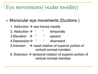 Eye movements( ocular motility)
 Monocular eye movements (Ductions )
1. Adduction  eye moves nasally
2. Abduction  ‘’ ‘’ temporally
3.Elevation  ‘’ ‘’ upward
4.Depression ‘’ ‘’ downward
5.Intorsion  nasal rotation of superior portion of
vertical corneal meridian
6. Extorsion  temporal rotation of superior portion of
vertical corneal meridian
 