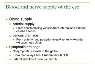 Blood and nerve supply of the eye
 Blood supply
 Arterial supply
 From anastomosing vessels from internal and external
carotid arteries
 venous drainage
 From anterior and posterior uveavortex v.orbital
vcavernous sinus
 Lymphatic drainage
 No lymphatic vessels in the globe
 From medial eye lidssubmandibular LN
 Lateral side lidspreauricular LN
 