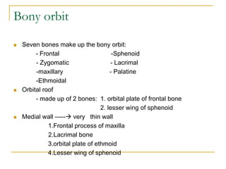 Bony orbit
 Seven bones make up the bony orbit:
- Frontal -Sphenoid
- Zygomatic - Lacrimal
-maxillary - Palatine
-Ethmoidal
 Orbital roof
- made up of 2 bones: 1. orbital plate of frontal bone
2. lesser wing of sphenoid
 Medial wall ----- very thin wall
1.Frontal process of maxilla
2.Lacrimal bone
3.orbital plate of ethmoid
4.Lesser wing of sphenoid
 
