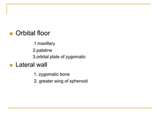  Orbital floor
1.maxillary
2.palatine
3.orbital plate of zygomatic
 Lateral wall
1. zygomatic bone
2. greater wing of sphenoid
 
