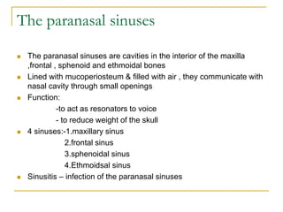 The paranasal sinuses
 The paranasal sinuses are cavities in the interior of the maxilla
,frontal , sphenoid and ethmoidal bones
 Lined with mucoperiosteum & filled with air , they communicate with
nasal cavity through small openings
 Function:
-to act as resonators to voice
- to reduce weight of the skull
 4 sinuses:-1.maxillary sinus
2.frontal sinus
3.sphenoidal sinus
4.Ethmoidsal sinus
 Sinusitis – infection of the paranasal sinuses
 