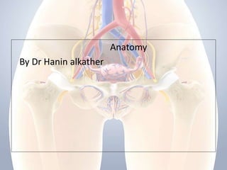 Anatomy
By Dr Hanin alkather
 