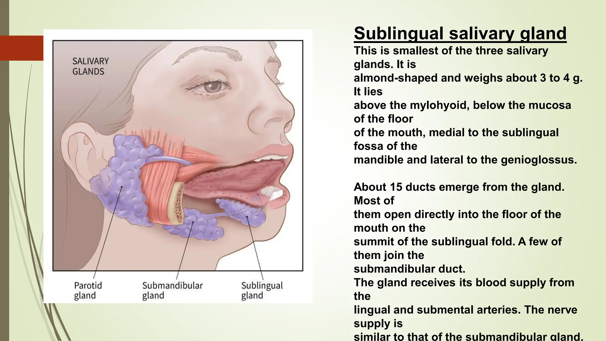 Saliva Injection anatomy of submandibular region peresentation | PPTX