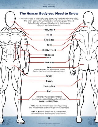 Anatomia cuerpo humano comic draw with JAZZA | PDF