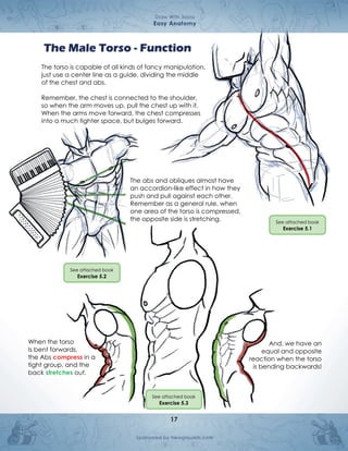 Anatomia cuerpo humano comic draw with JAZZA | PDF