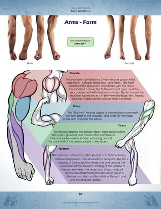 Anatomia cuerpo humano comic draw with JAZZA | PDF