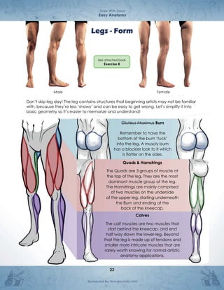 Anatomia cuerpo humano comic draw with JAZZA | PDF