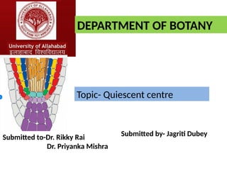 Topic- Quiescent centre
DEPARTMENT OF BOTANY
Submitted to-Dr. Rikky Rai
Dr. Priyanka Mishra
Submitted by- Jagriti Dubey
 