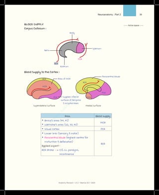 PDF of anatomy.pdf notes prepladder marrow | PDF