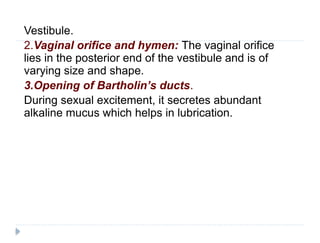 Comprehensive Anatomy of Female Reproductive Organs and Their Functions ...