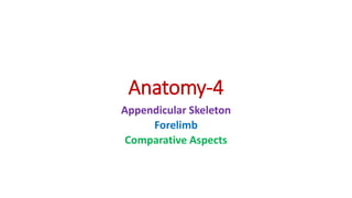 Anatomy-4
Appendicular Skeleton
Forelimb
Comparative Aspects
 