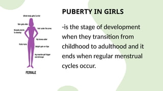Developing Female Comprehensive Overview of Human Reproductive Anatomy and Physiology | PPTX