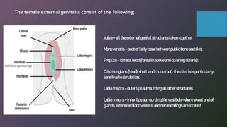 ANATOMY AND PHYSIOLOgy pptx