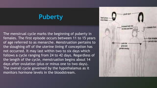 The menstrual cycle marks the beginning of puberty in
females. The first episode occurs between 11 to 15 years
of age referred to as menarche. Menstruation pertains to
the sloughing off of the uterine lining if conception has
not occurred. It may last within two to six days which
follows a cycle ranging from 24 to 42 days. Regardless of
the length of the cycle, menstruation begins about 14
days after ovulation (plus or minus one to two days).
The overall cycle governed by the hypothalamus as it
monitors hormone levels in the bloodstream.
Puberty
 
