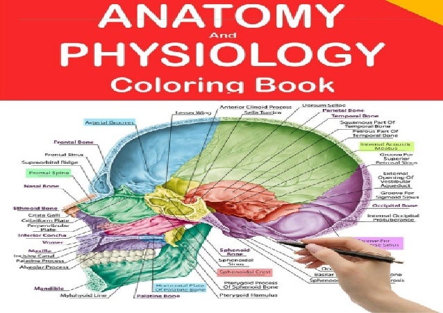 Download Pdf Book Anatomy And Physiology Coloring Book Human Anatomy Colo