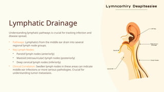 Anatomy-and-Physiology-of-Middle-Ear-Structures (1).pptx