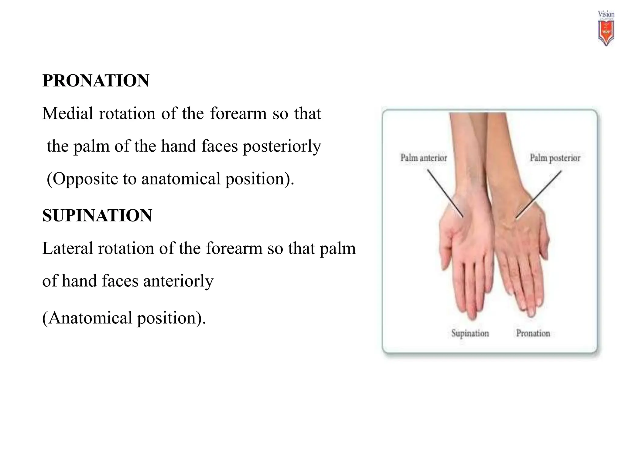 ANATOMY-AND-PHYSIOLOGY CELL STRUCTURE AND FUNCTIONS | PPTX