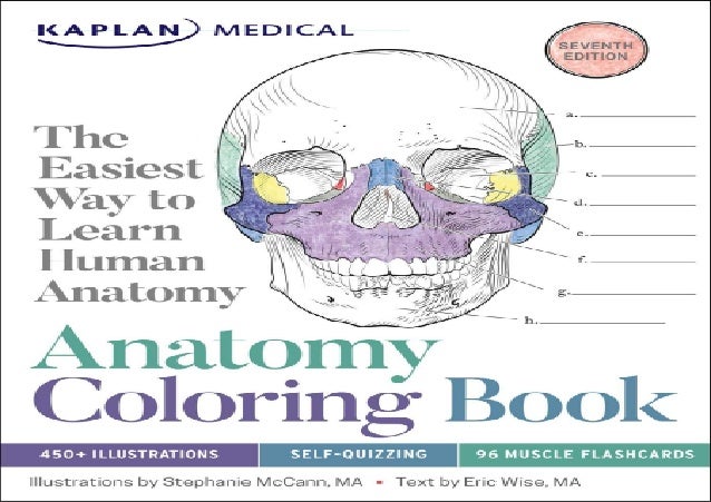 Download Pdf Book Anatomy Coloring Book