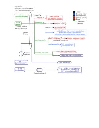Med-Source
Anatomy - Cranial Nerves Pg. 1
http://med-source.blogspot.com/
CN X*
(vagus)
(see pg. 2)
CN XI
(spinal accessory)
CN IX
(glossopharyngeal)
- autonomic
- mixed
- motor
- branchial motor
- somatic
- general sensory
- special sensory
jugular
foramen
skin of pinna
ext. auditory meatus
tympanic membrane
auricular n.
pharyngeal n.
palate & lower pharynx mm. (constrictors,
levator veli palatini, palatoglossus,
palatopharyngeus, salpingopharyngeus, uvular )
epiglottis (taste)
laryngopharynx
sup. laryngeal n.
int. laryngeal n.
ext. laryngeal n.
mucosa above vocal folds
inf. contrictor m.
cricothyroid m.
cricothyroid membrane
reucrrent. laryngeal n.
larynx below vocal folds
larynx mm. (NOT cricothyroid)
* carries visceral
parasympathetics
SCM & trapezius
foramen
magnum
CN XII
(hypoglossal)
3 of 4 tongue m.: genioglossus,
styloglossus & hypoglossus
(NOT pataltoglossus, CN X)
hypoglossal canal
 