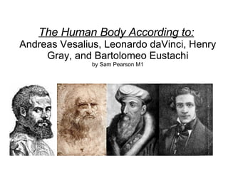 The Human Body According to:   Andreas Vesalius, Leonardo daVinci, Henry Gray, and Bartolomeo Eustachi by Sam Pearson M1 