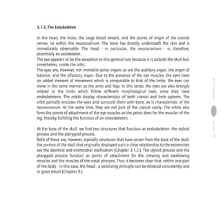 Anatomy human morphology from a phenomenological point of view | PDF