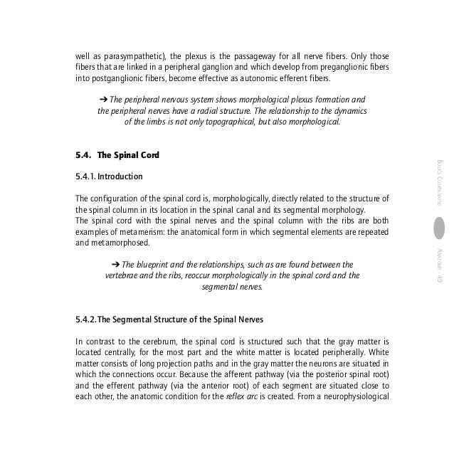 Anatomy human morphology from a phenomenological point of view