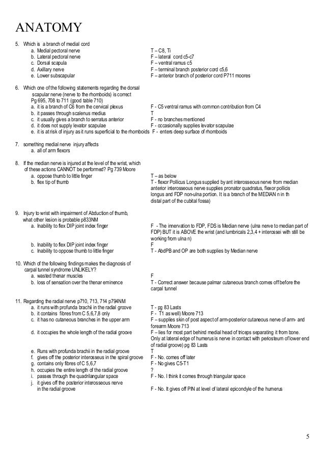 canvasser resume