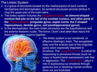 Anatomy-Nervous-System Anatomy and Physiology updated.pptx