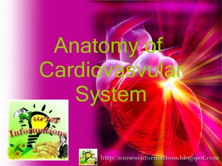 Anatomy of  Cardiovasvular System 