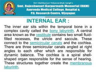 INTERNAL EAR :
The inner ear sits within the temporal bone in a
complex cavity called the bony labyrinth. A central
area known as the vestibule contains two small fluid-
filled recesses, the utricle and saccule. These
connect to the semicircular canals and the cochlea.
There are three semicircular canals angled at right
angles to each other which are responsible for
dynamic balance. The cochlea is a spiral shell-
shaped organ responsible for the sense of hearing.
These structures together create the membranous
labyrinth.
 