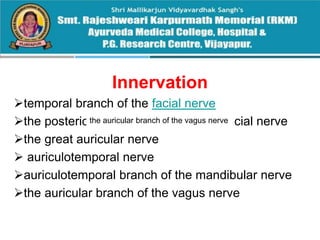 Innervation
temporal branch of the facial nerve
the posterior auricular branch of the facial nerve
the great auricular nerve
 auriculotemporal nerve
auriculotemporal branch of the mandibular nerve
the auricular branch of the vagus nerve
the auricular branch of the vagus nerve
 