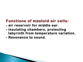 Ear Insilating Anatomy Physiology of ear | PPT