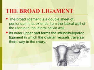 Broad Part Anatomy-Of-Female-Genital-System-Dr.Osman (2).pptx