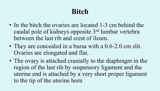 ANATOMY-OF-FEMALE-REPRODUCTIVE-ORGANS-IN-DOMESTIC-ANIMALS-1.pdf