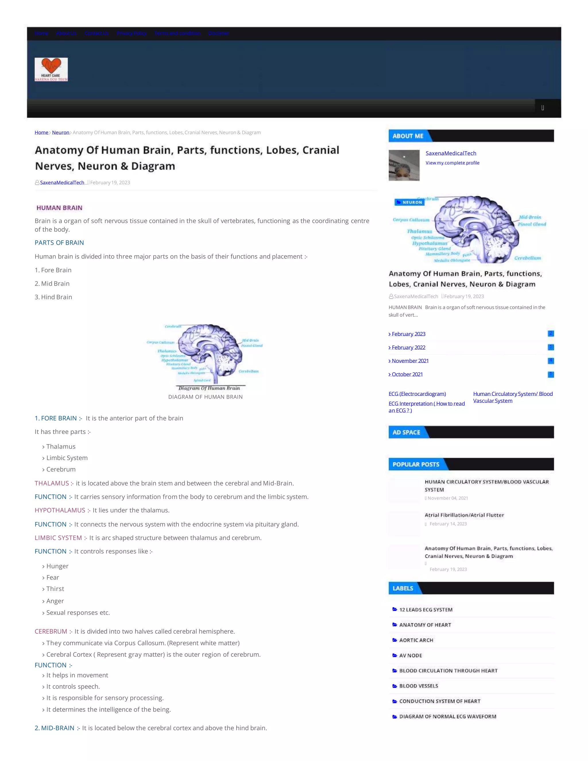 anatomy-of-human-brain-parts-functions.pdf.pptx