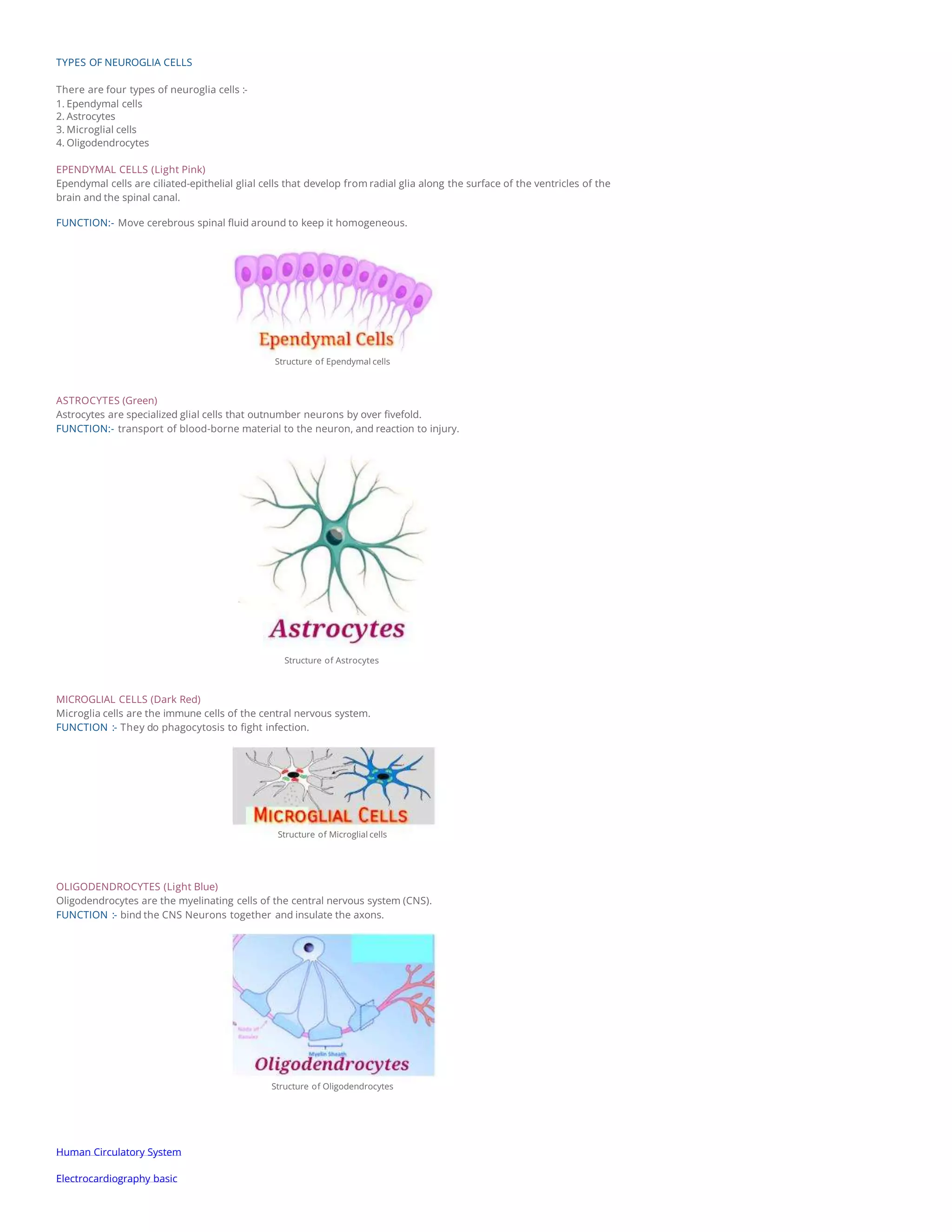 anatomy-of-human-brain-parts-functions.pdf.pptx