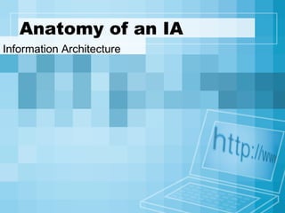 Anatomy of an IA Information Architecture 
