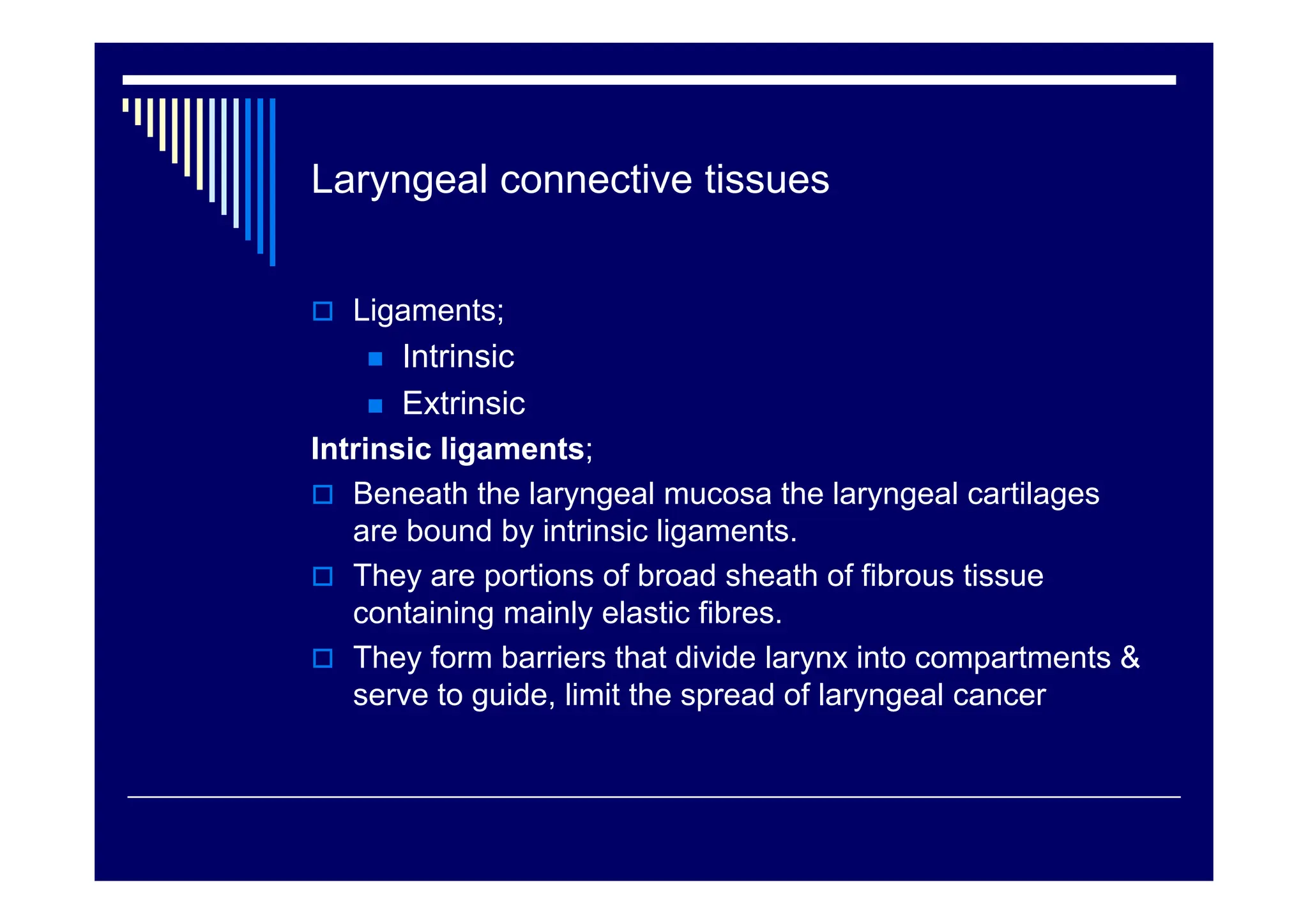 Anatomy-of-larynx-&-its-relevance-in-pathways.pdf