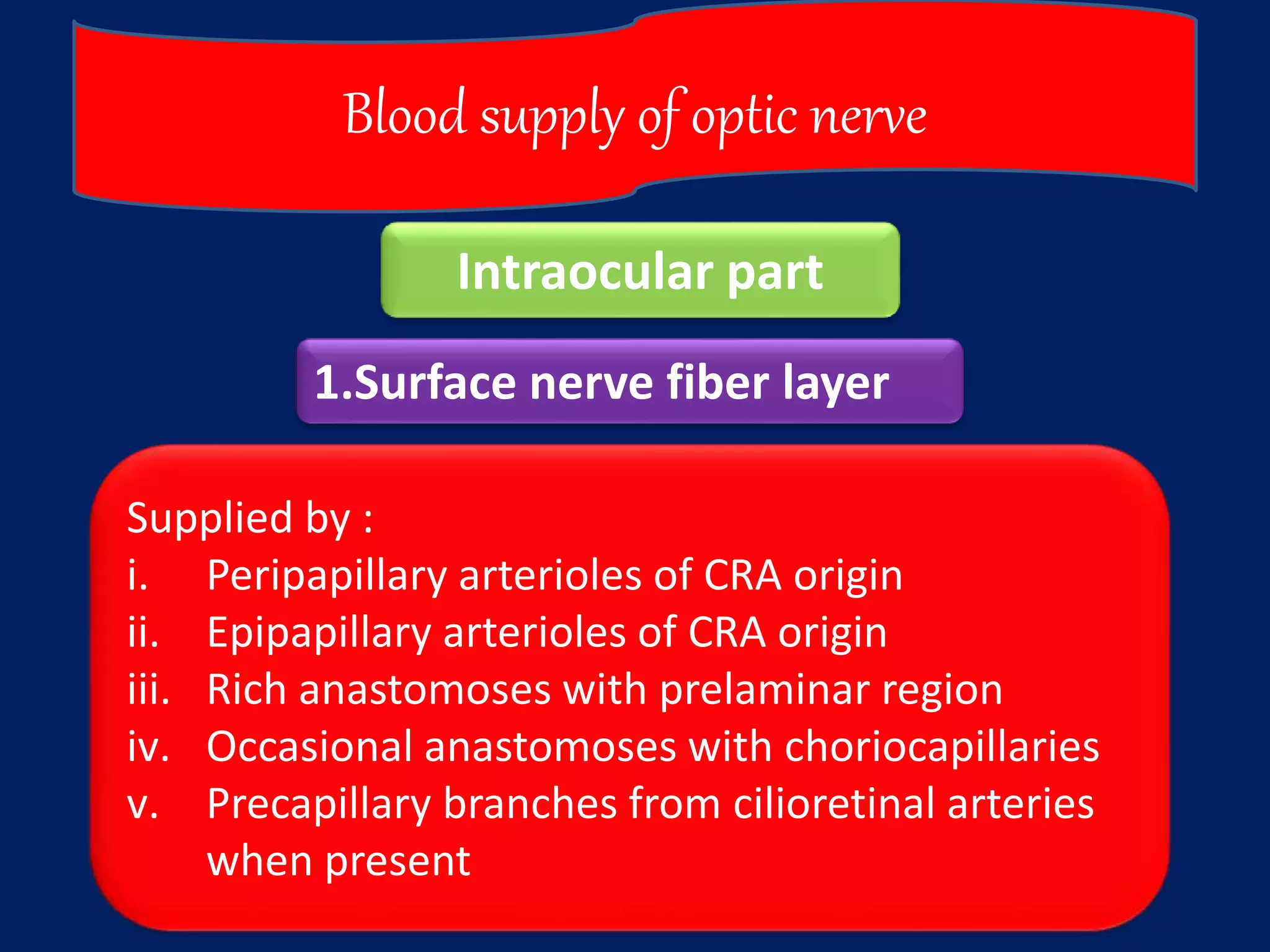 Anatomy of Optic Nerve | PPTX