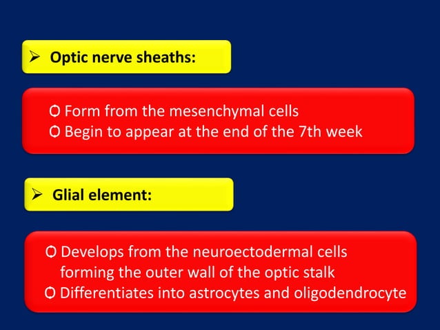 Anatomy of Optic Nerve | PPTX