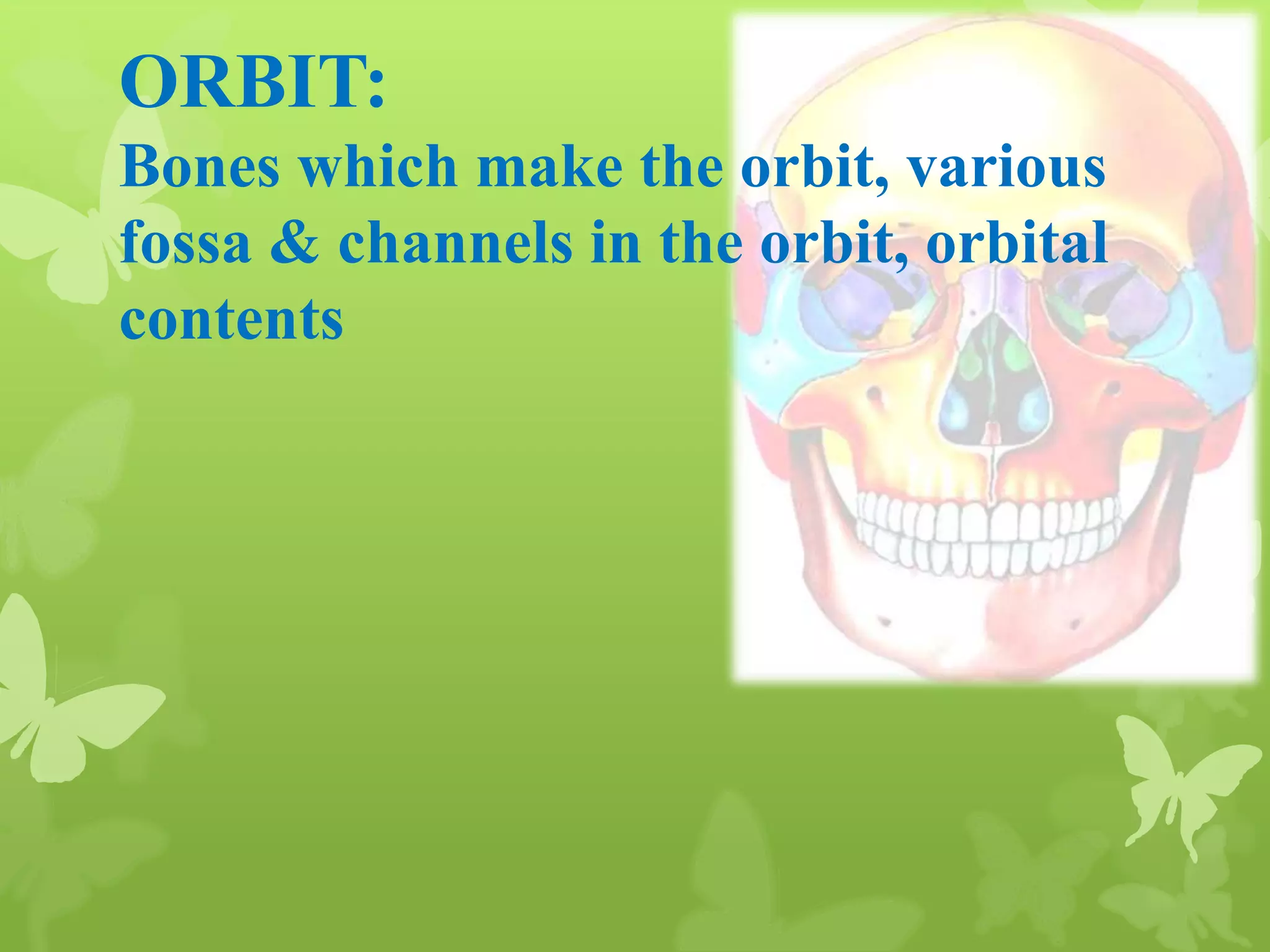 Anatomy of Eye Orbit
