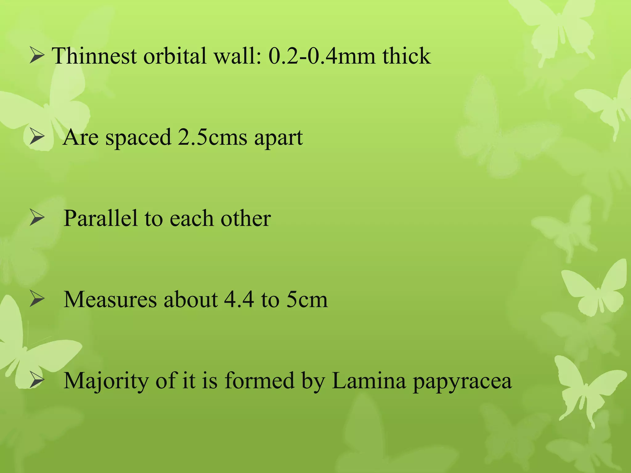 Anatomy of Eye Orbit