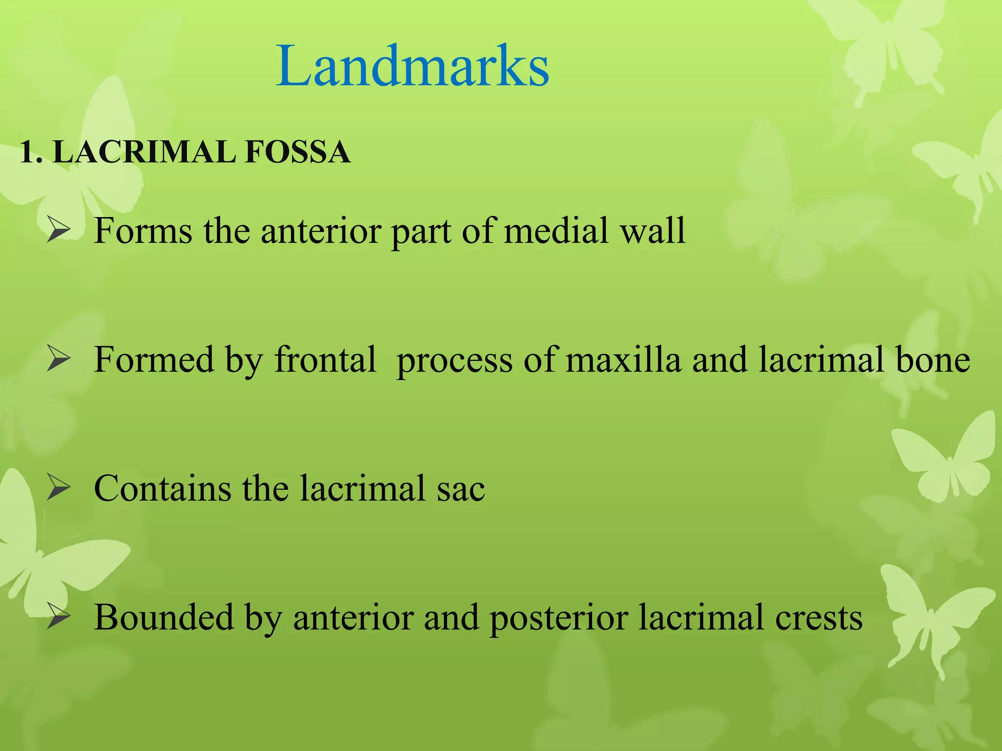 Anatomy of Eye Orbit