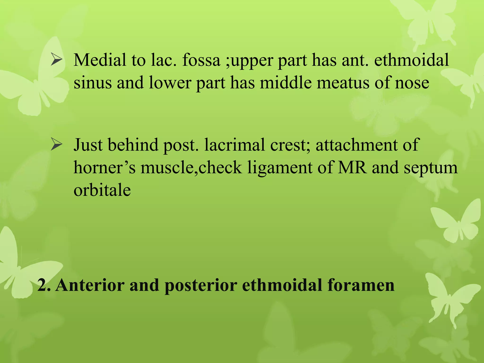 Anatomy of Eye Orbit