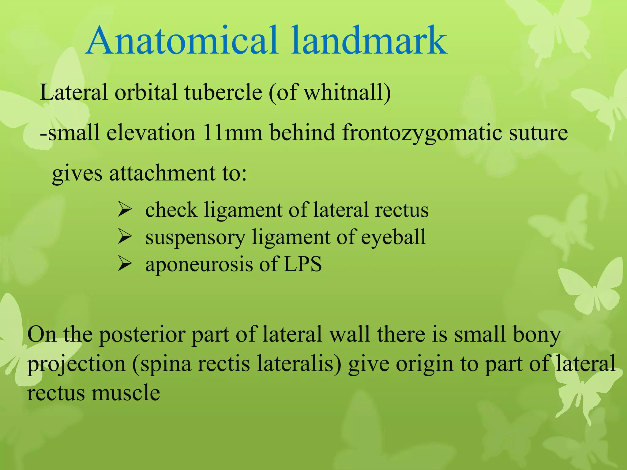 Anatomy of Eye Orbit